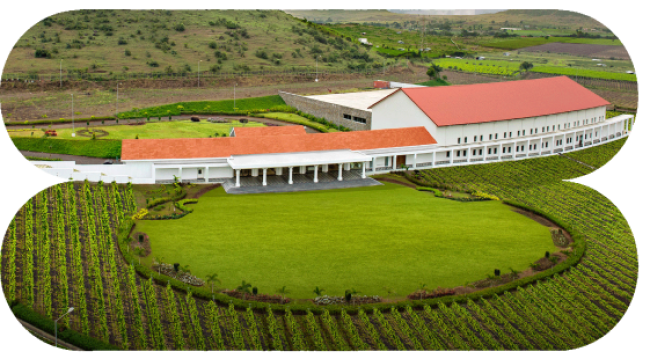 Winery tours and bookings