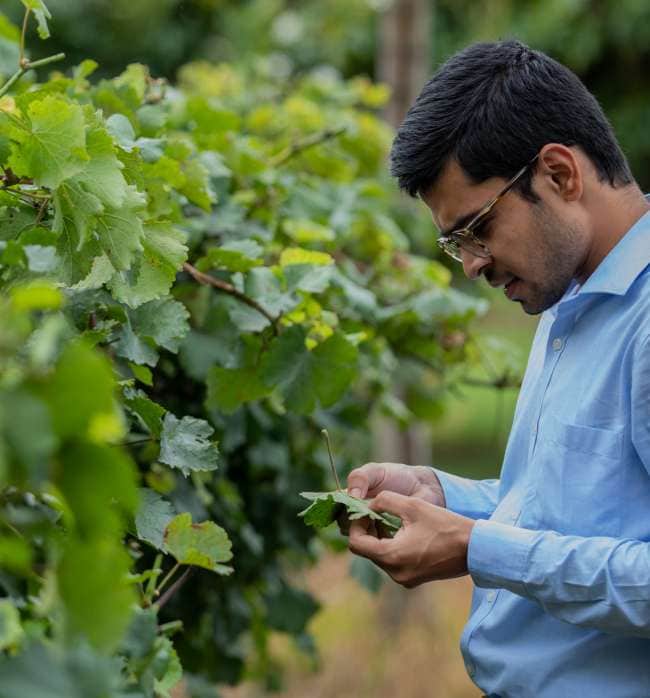 Crafted with Passion