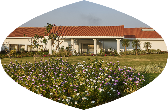 Chandon India Winery